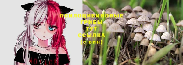 spice Алексеевка