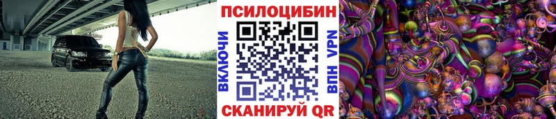 Псилоцибиновые грибы Psilocybe  shop формула  Динская 